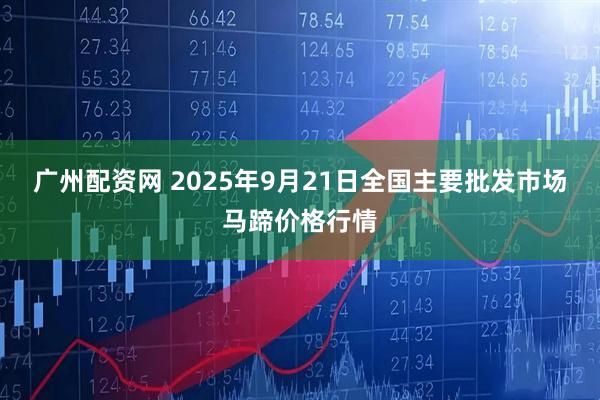 广州配资网 2025年9月21日全国主要批发市场马蹄价格行情