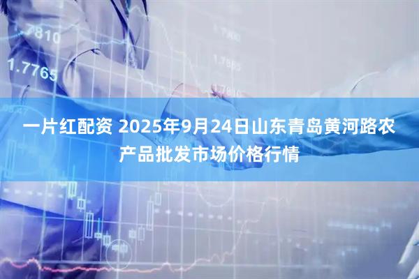 一片红配资 2025年9月24日山东青岛黄河路农产品批发市场价格行情