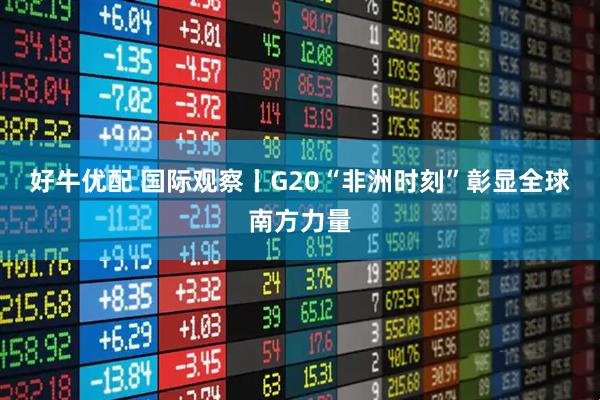 好牛优配 国际观察丨G20“非洲时刻”彰显全球南方力量