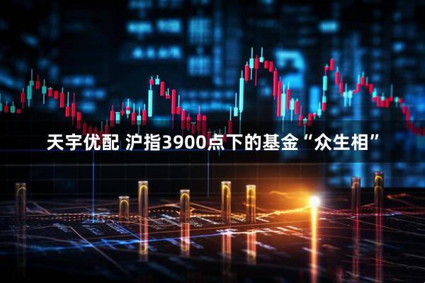 天宇优配 沪指3900点下的基金“众生相”