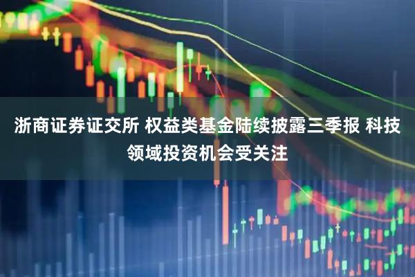 浙商证券证交所 权益类基金陆续披露三季报 科技领域投资机会受关注