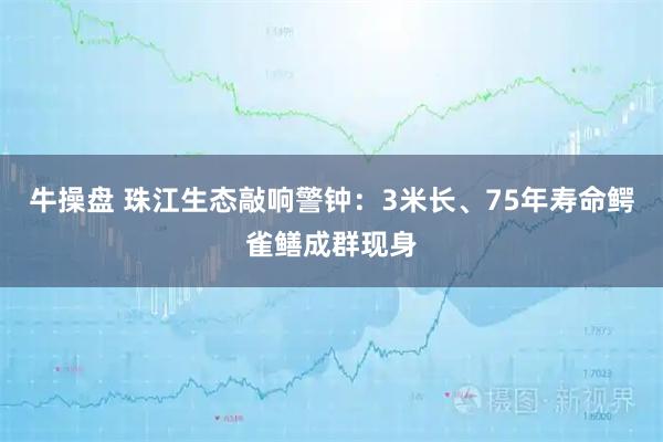 牛操盘 珠江生态敲响警钟：3米长、75年寿命鳄雀鳝成群现身